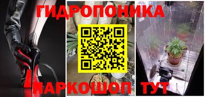 соль ск Новодвинск