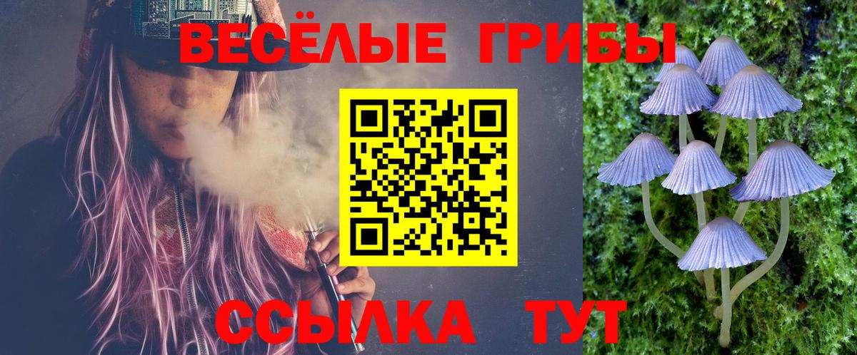 Псилоцибиновые грибы прущие грибы Кингисепп